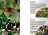 A Guide to Finding Butterflies and Day-flying Moths in Berks, Bucks and Oxon