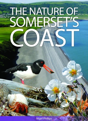 The Nature of Somerset's Coast