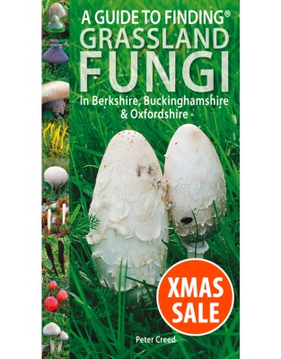 A Guide to Finding GRASSLAND FUNGI in Berkshire, Buckinghamshire and Oxfordshire