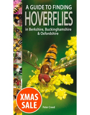 A Guide to Finding Hoverflies in Berks, Bucks and Oxon