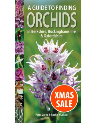 A Guide to Finding Orchids in Berks, Bucks and Oxon