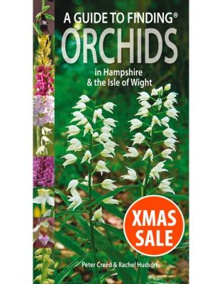 A Guide to Finding Orchids in Hampshire and the Isle of Wight