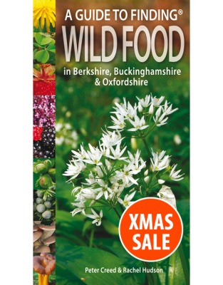 A Guide to Finding WILD FOOD in Berkshire, Buckinghamshire and Oxfordshire