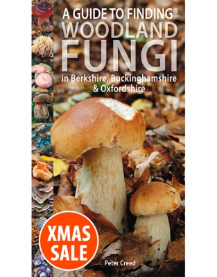 A Guide to Finding WOODLAND FUNGI in Berkshire, Buckinghamshire and Oxfordshire