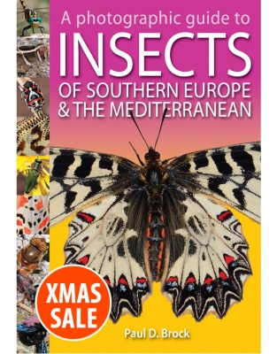 A Photographic Guide to Insects of Southern Europe and the Mediterranean