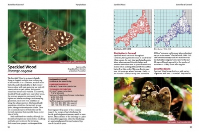 Butterflies of Cornwall