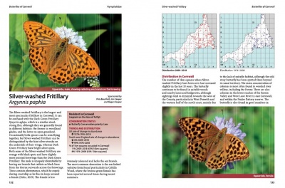 Butterflies of Cornwall