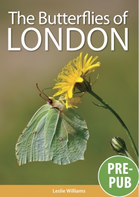 The Butterflies of London