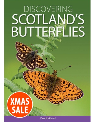 Discovering Scotland's Butterflies