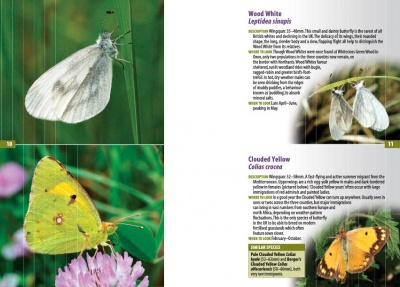 A Guide to Finding Butterflies and Day-flying Moths in Berks, Bucks and Oxon