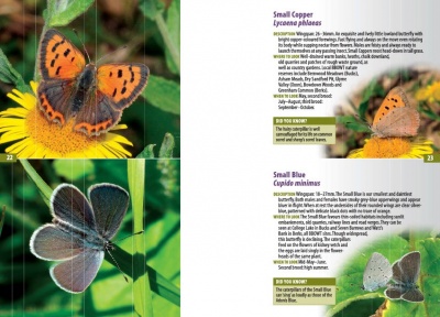 A Guide to Finding Butterflies and Day-flying Moths in Berks, Bucks and Oxon