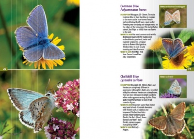 A Guide to Finding Butterflies and Day-flying Moths in Berks, Bucks and Oxon