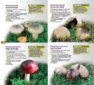 A Guide to Finding GRASSLAND FUNGI in Berkshire, Buckinghamshire and Oxfordshire