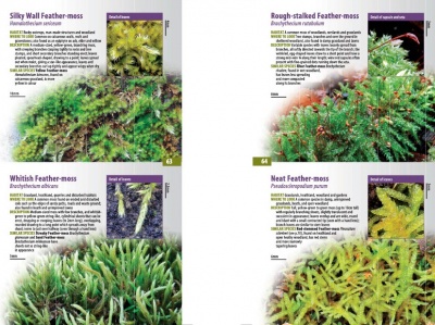 A Guide to Finding MOSSES in Berkshire, Buckinghamshire and Oxfordshire