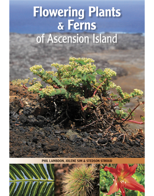 Flowering Plants and Ferns of Ascension Island