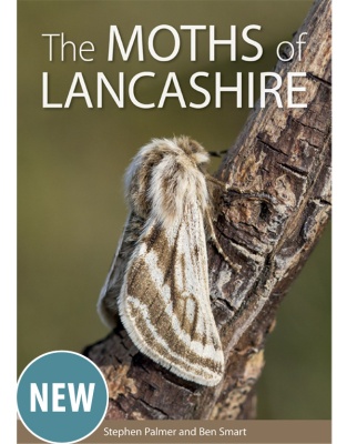 The Moths of Lancashire