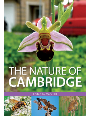 The Nature of Cambridge