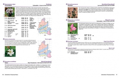 Oxfordshire's Theatened Plants