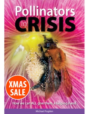 Pollinators in Crisis