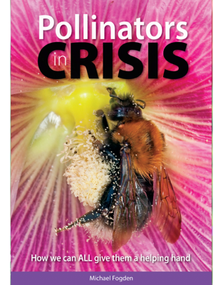 Pollinators in Crisis