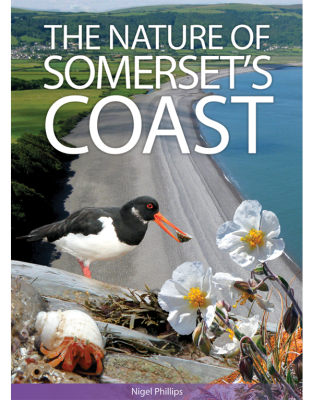 The Nature of Somerset's Coast