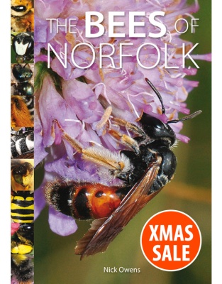 The Bees of Norfolk