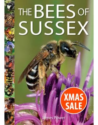 The Bees of Sussex