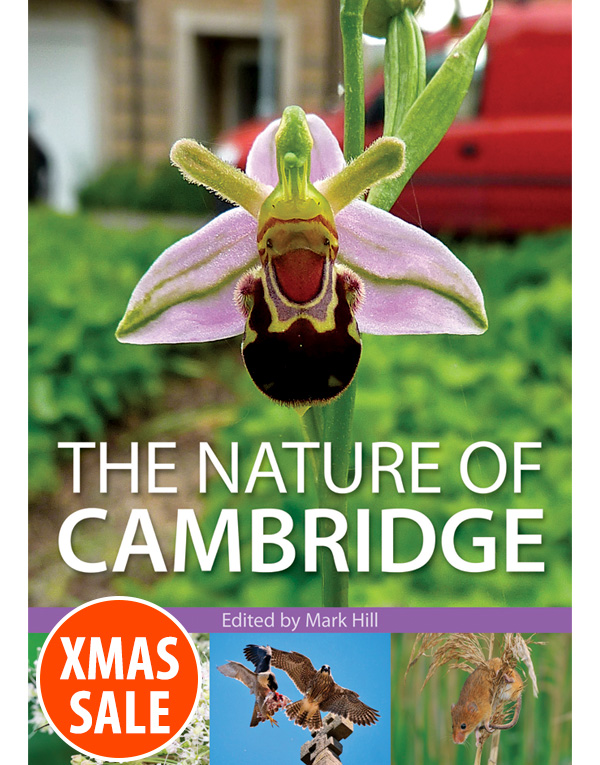 The Nature of Cambridge