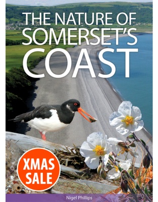 The Nature of Somerset's Coast